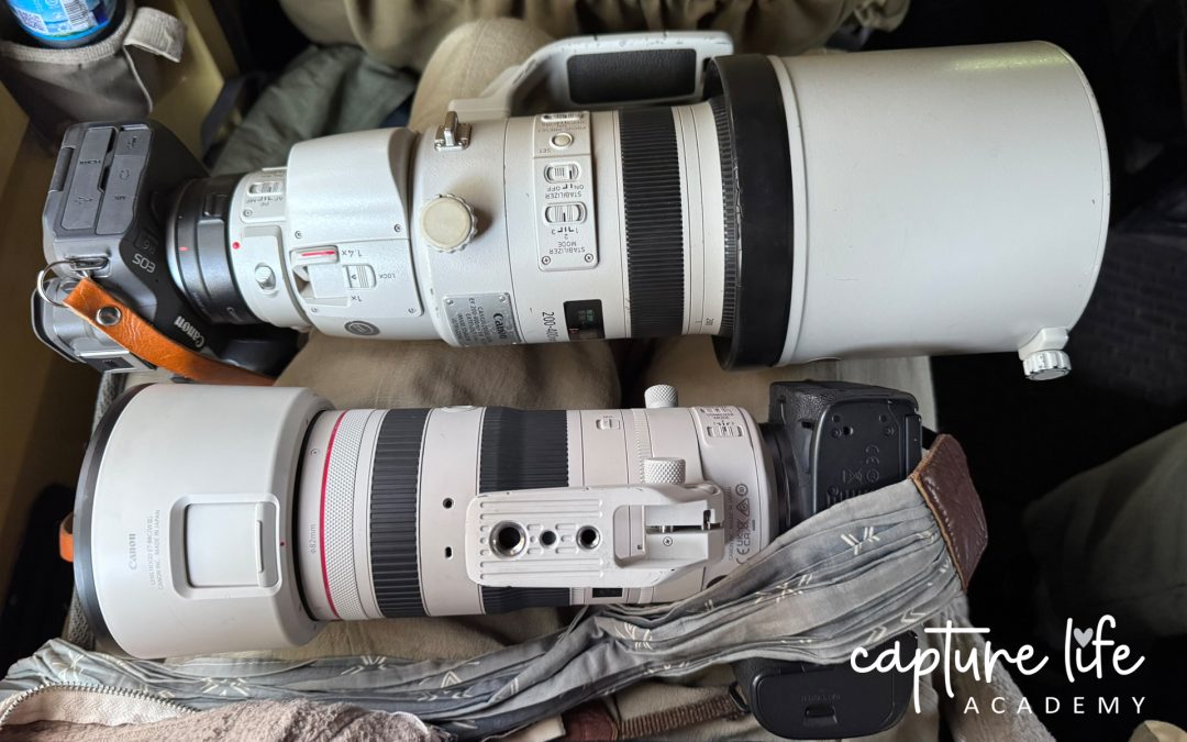 Do you need that big Canon 200-400mm for safari pictures and film?