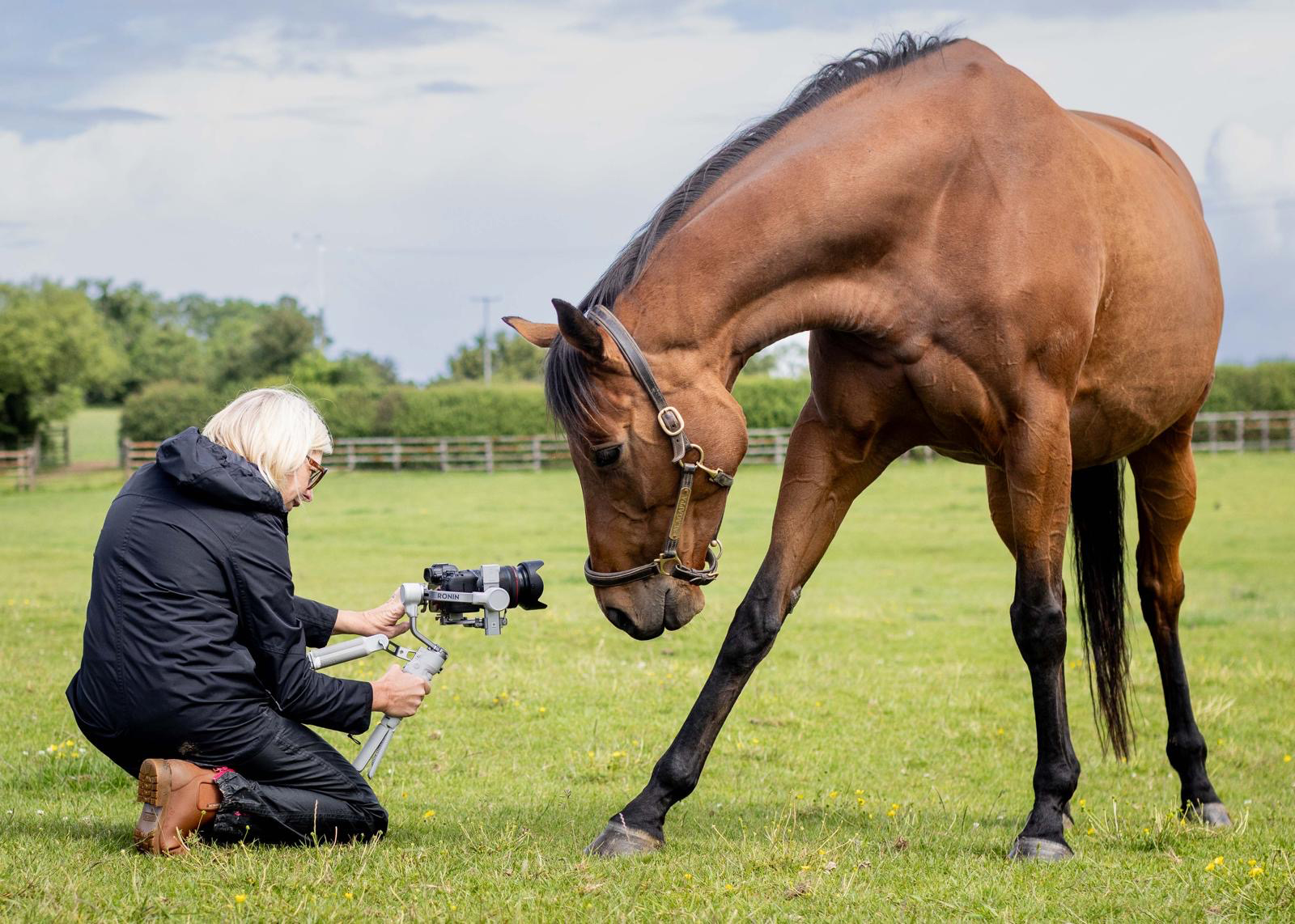 gimbal training photographers